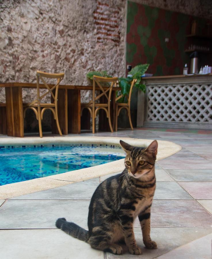 Casa Zahri Boutique Hostel Cartagena المظهر الخارجي الصورة